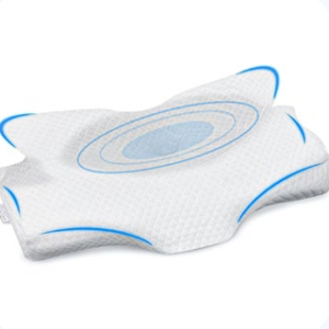 Butterfly Pillow