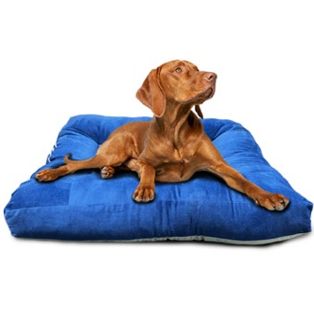Pet Pillow - Image 4