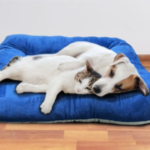 Pet Pillow